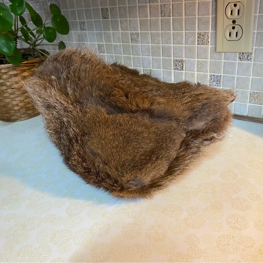 Vintage Australian‎ Koala bear real fur plush stuffed animal Australia realistic - Picture 2 of 8